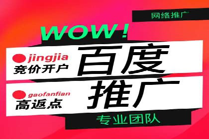 百度竞价推广托管实战：某行业巨头的成功经验